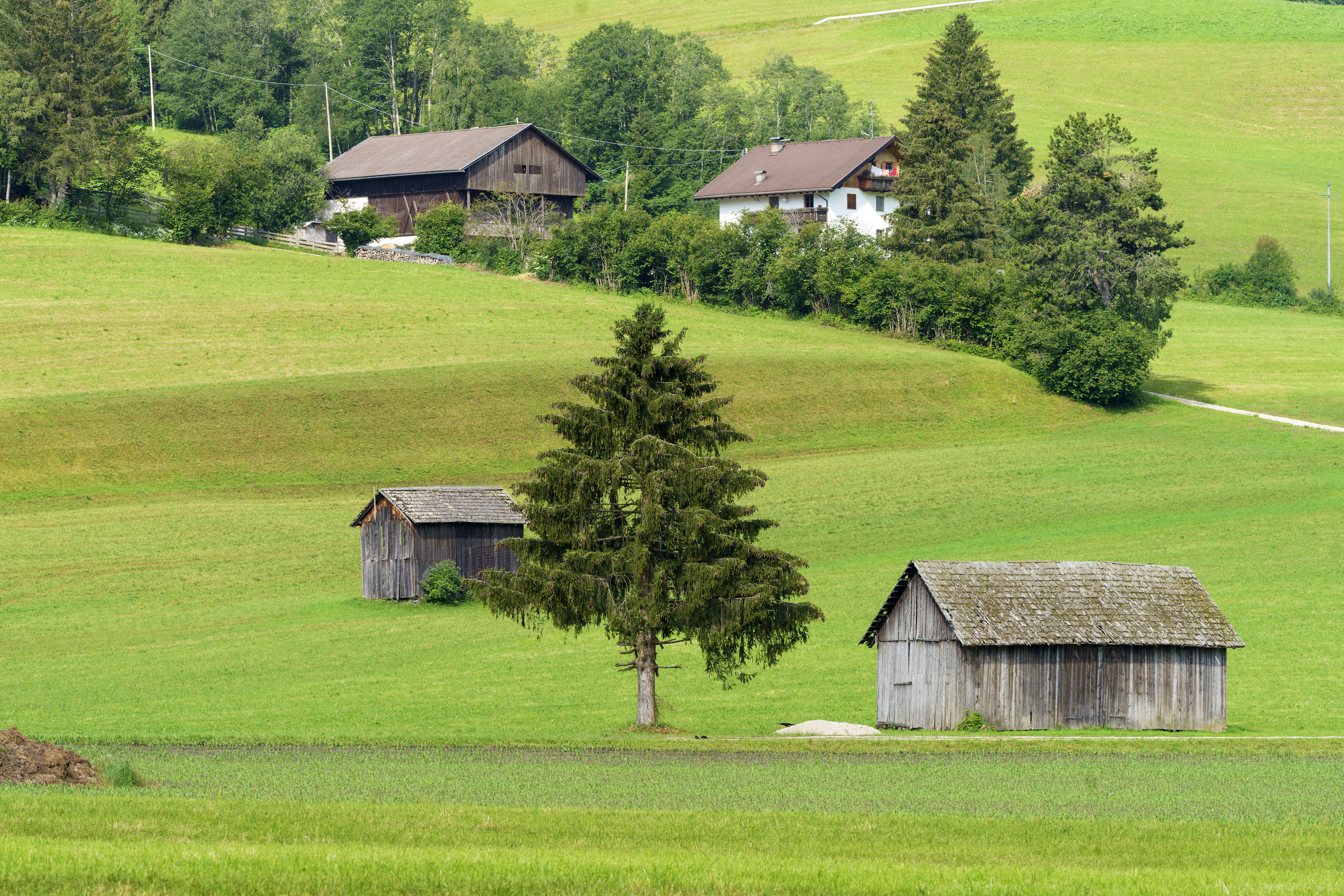 Umzug in die Schweiz